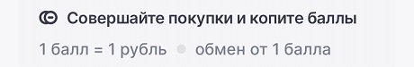 Обмен баллов Пользы на рубли